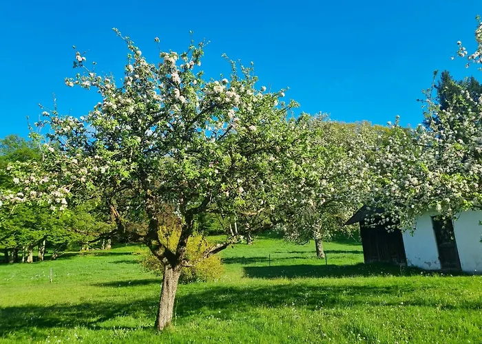 Schloss Elmischwang Πανσιόν 3*