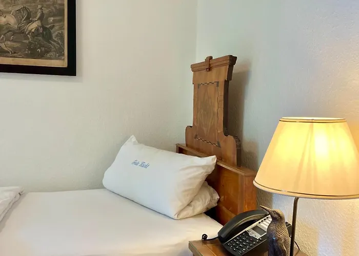 Πανσιόν Schloss Elmischwang 3*
